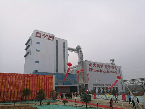 新洲亿元项目彰显高效建设，实业投资激发区域经济新活力