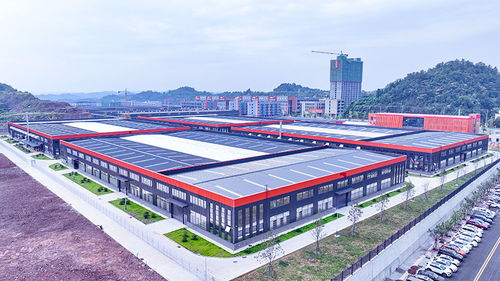 竞逐运动赛道 安岳以鞋兴业，跑出产业链发展新路径